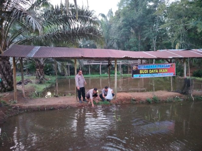 
 Polsek Pelepat manfaat Lahan Kosong Dijadikan kolam ikan Wujud Dukungan Ketahanan Pangan Nasional