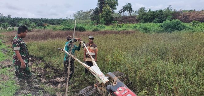 
 Dukung Ketahanan Pangan Nasional, Satgas TMMD Tanam Jagung seluas 2 Hektar
