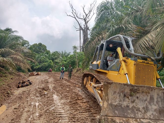 
 Buldozer Buat Jalan Usaha Tani di Desa Malako Intan Memperlancar Warga Melintasi