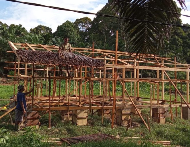 
 Program Pembangunan Kandang Kambing pada TMMD Terus Dikebut, saat ini Anggota Satgas Memasang Atap Rumbia