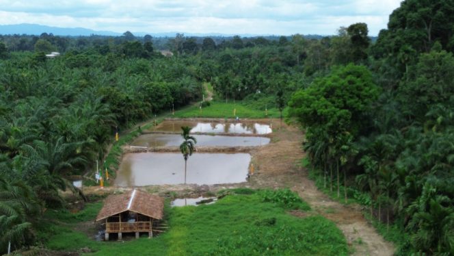 
 Program Ketahanan Pangan pada Program TMMD sudah 100 Pesen Diselesaikan Satgas