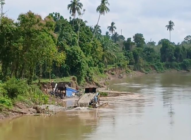 
 Dikhawatirkan Berdampak pada Lingkungan Sekitar, Warga Minta APH Tindak Pelaku PETI di Aliran Sungai Batang Tebo Dusun Tanah Bekali
