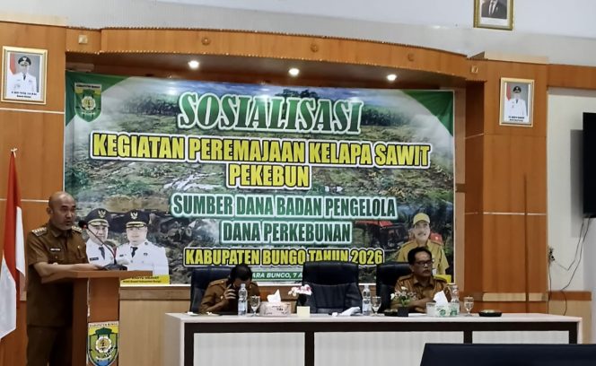 
 Pemda Bungo Melalui Dinas TPH-Bun menggelar Sosialisasi Peremajaan Kelapa Sawit