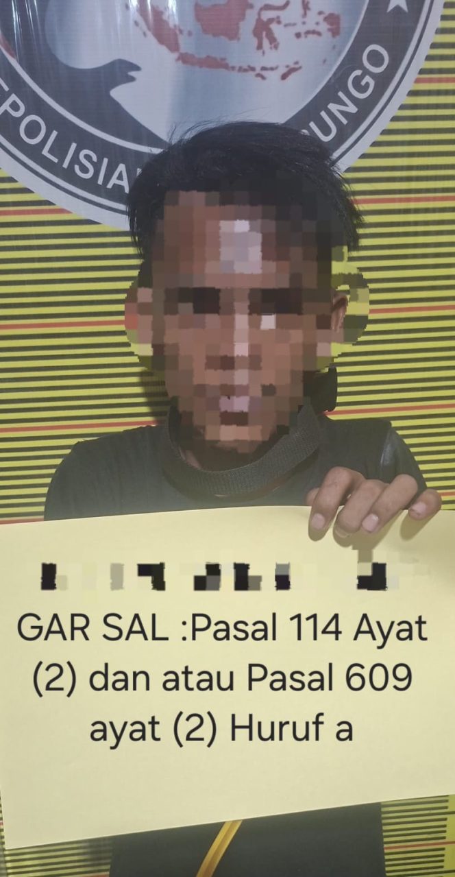 
 Polres Bungo Ringkus Terduga Pelaku Penyalahgunaan Narkotika Jenis Sabu di Kelurahan Sungai Pinang