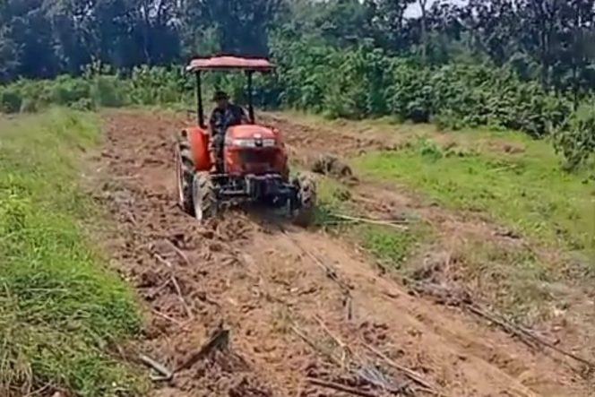 
 Satgas TMMD Manfaatkan Lahan Produktif untuk Ketahanan Pangan Masyarakat