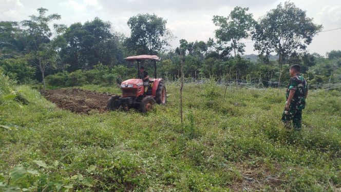 
 Selain Sasaran Fisik Pembangunan, TMMD ke-129 juga Berdayakan Lahan Kosong untuk Ketahanan Pangan