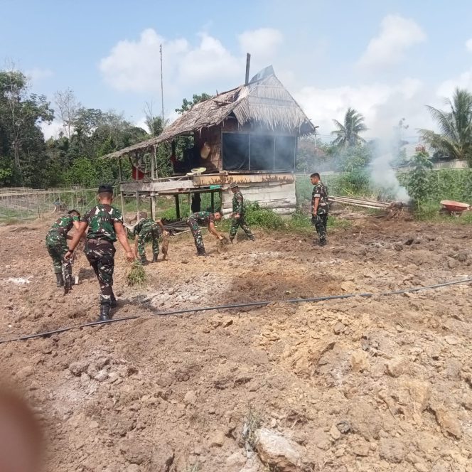 
 Satgas TMMD melakukan Pembersihan Lahan Guna untuk Persiapan Penanaman
